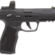 Trixie 3 - Sig P322 22LR